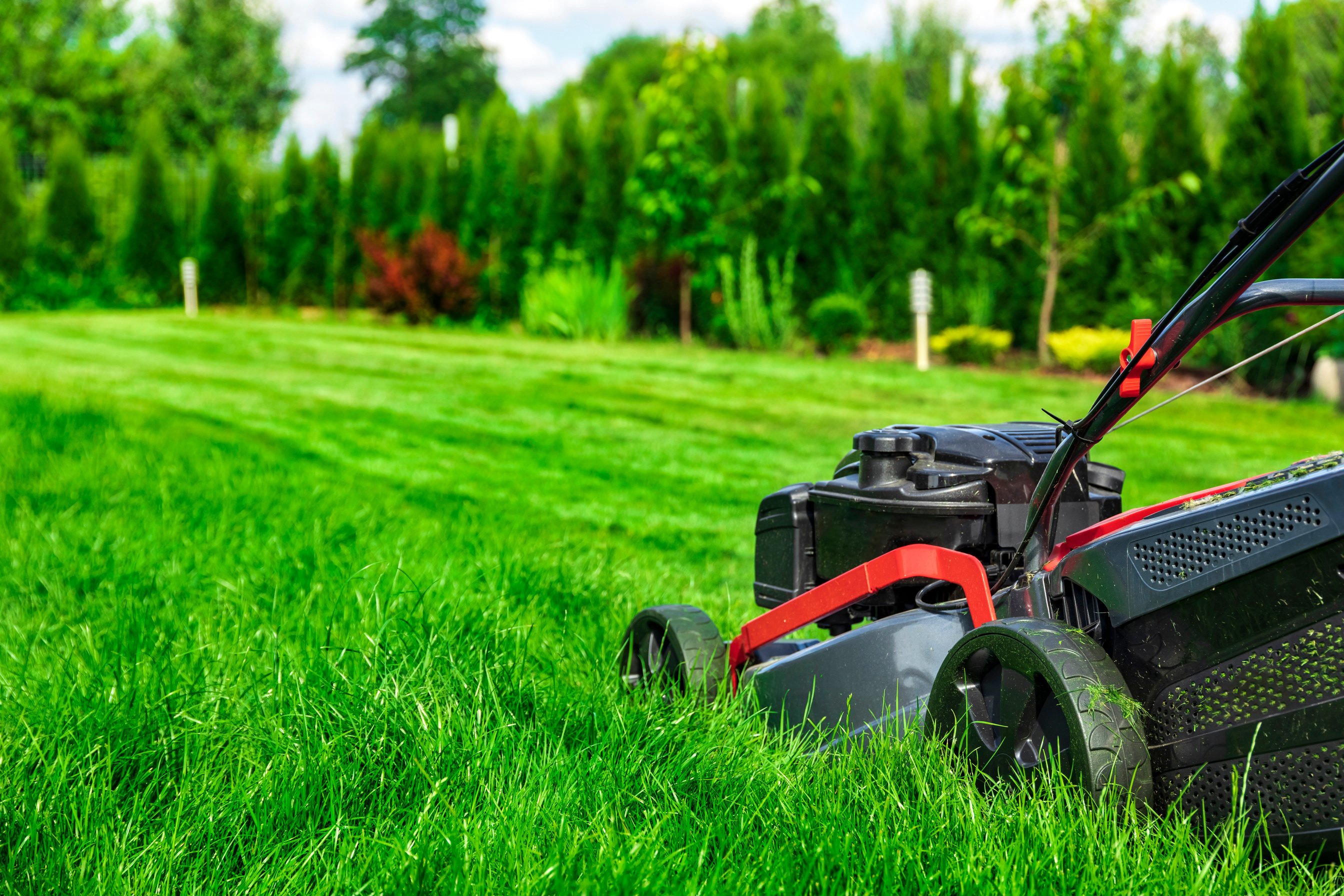 Mowing lawn